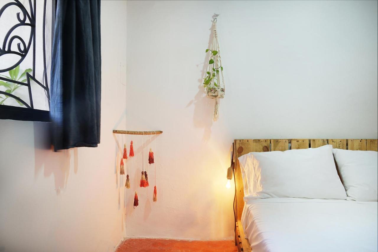 بلايا ديل كارمن Red Panda Hostal المظهر الخارجي الصورة